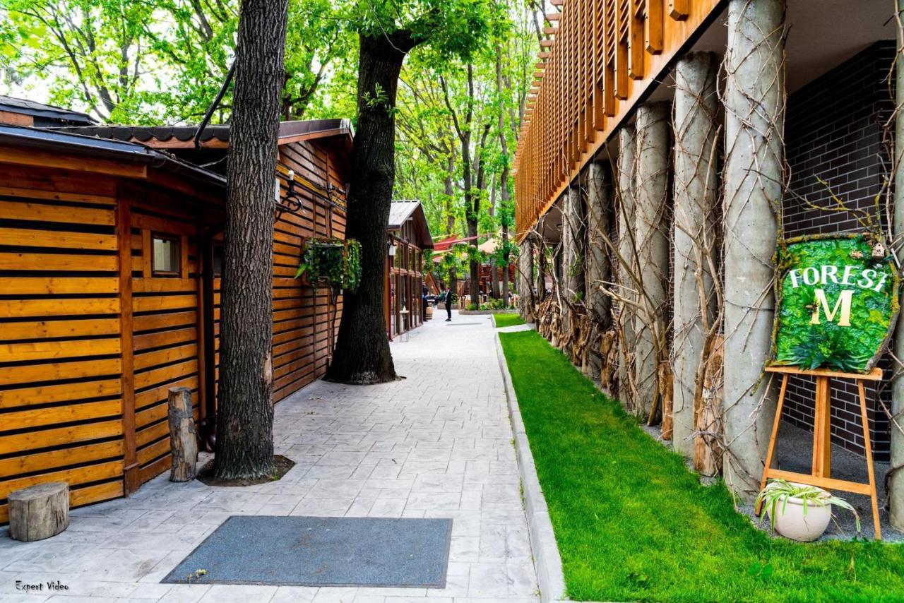Forest M,Constanta Valu lui Traian 외부 사진